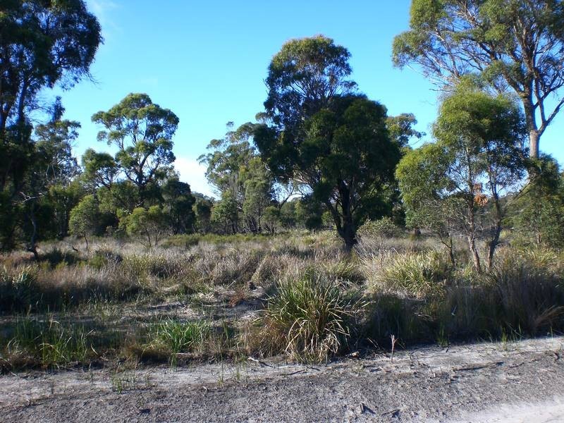 . Port Hills Road, Bridport TAS 7262