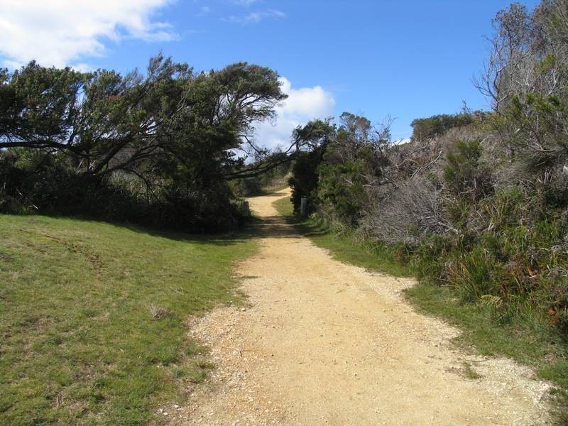 2 Esplanade, Lulworth TAS 7252