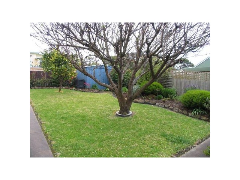 8 William Street, Bridport TAS 7262