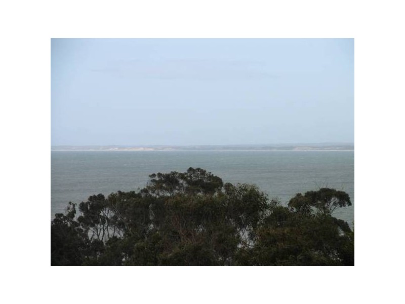 8 William Street, Bridport TAS 7262