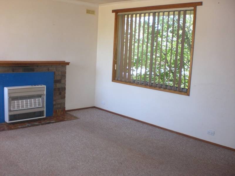 1 McGilp Street, Scottsdale TAS 7260