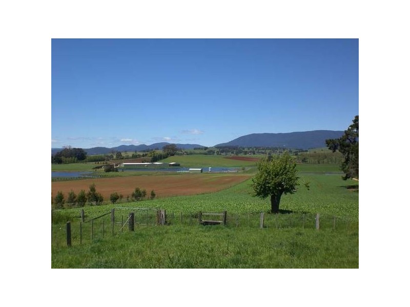 Scottsdale TAS 7260