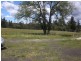 1311 Pipers Brook Road, Pipers Brook TAS 7254