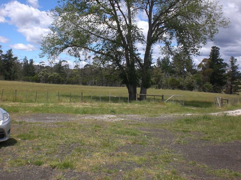 1311 Pipers Brook Road, Pipers Brook TAS 7254