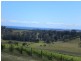 1216 Pipers Brook Road, Pipers Brook TAS 7254