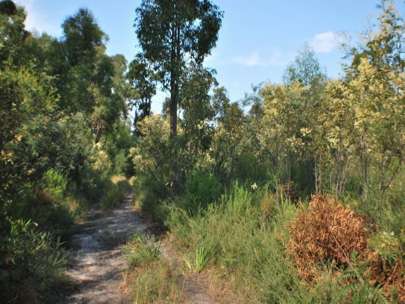 Lot 2 Gorindah Road, Falls Creek NSW 2540