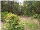 187A McMahons Road, North Nowra NSW 2541