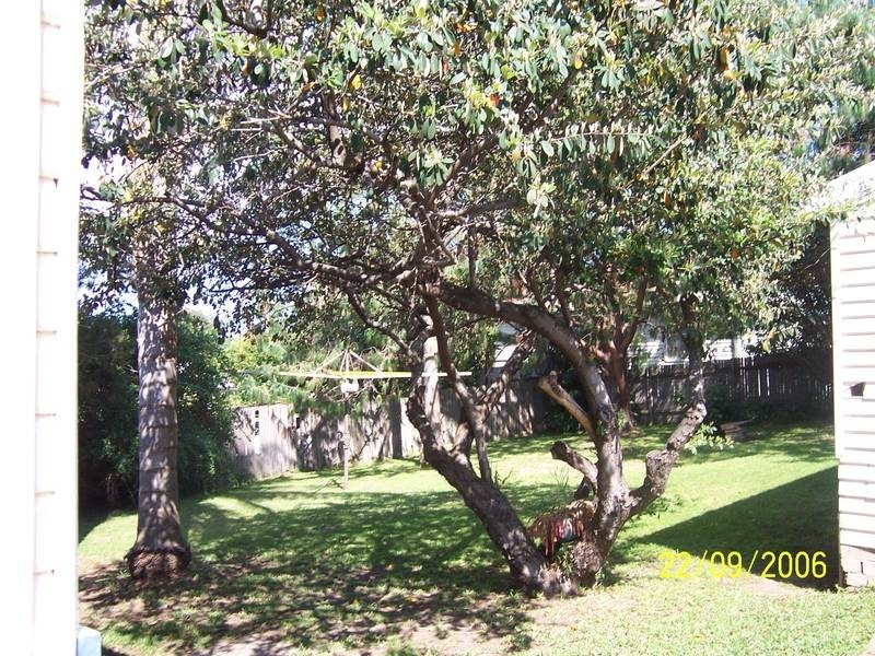 115 Osborne Street, Nowra NSW 2541