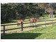 Coolangatta NSW 2535