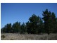 Lot 3, Welcome Reef Road, Nerriga NSW 2622