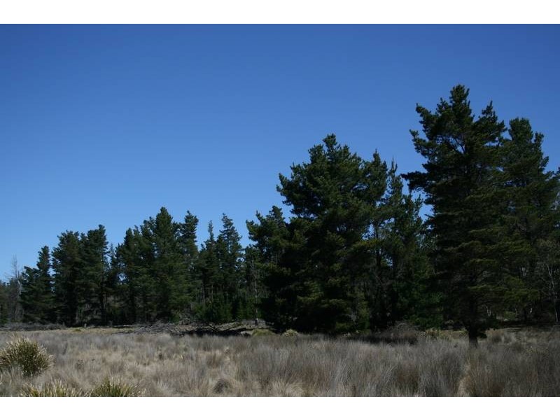 Lot 3, Welcome Reef Road, Nerriga NSW 2622