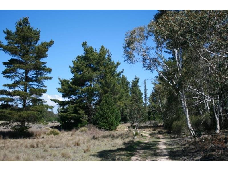Lot 3, Welcome Reef Road, Nerriga NSW 2622