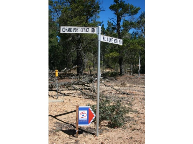 Lot 3, Welcome Reef Road, Nerriga NSW 2622