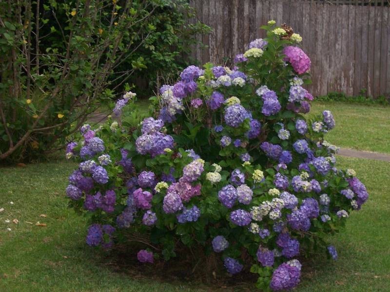 1/164 Kinghorn Street, Nowra NSW 2541