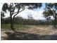 #53 Riversdale Road, Tapitallee NSW 2540