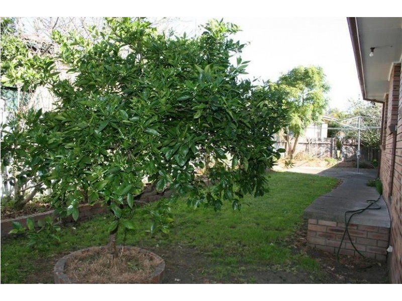 87 Salisbury Drive, Nowra NSW 2541