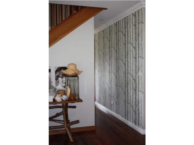 17 Carrington Road, Cambewarra NSW 2540