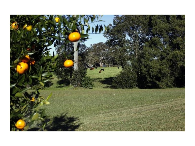 2 Maculata Close, Cambewarra NSW 2540