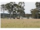 55c Hayward Road, Wandandian NSW 2540