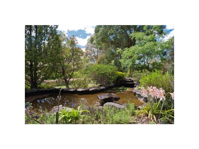 1299 Illaroo Road, Tapitallee NSW 2540