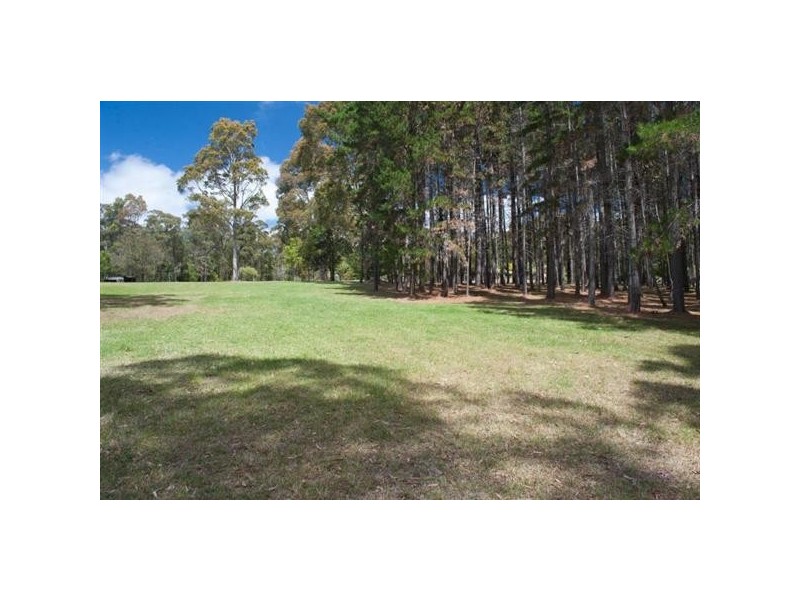 1299 Illaroo Road, Tapitallee NSW 2540