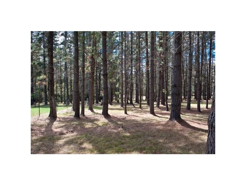 1299 Illaroo Road, Tapitallee NSW 2540