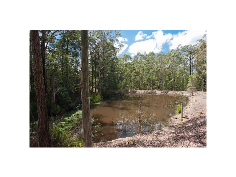 1299 Illaroo Road, Tapitallee NSW 2540