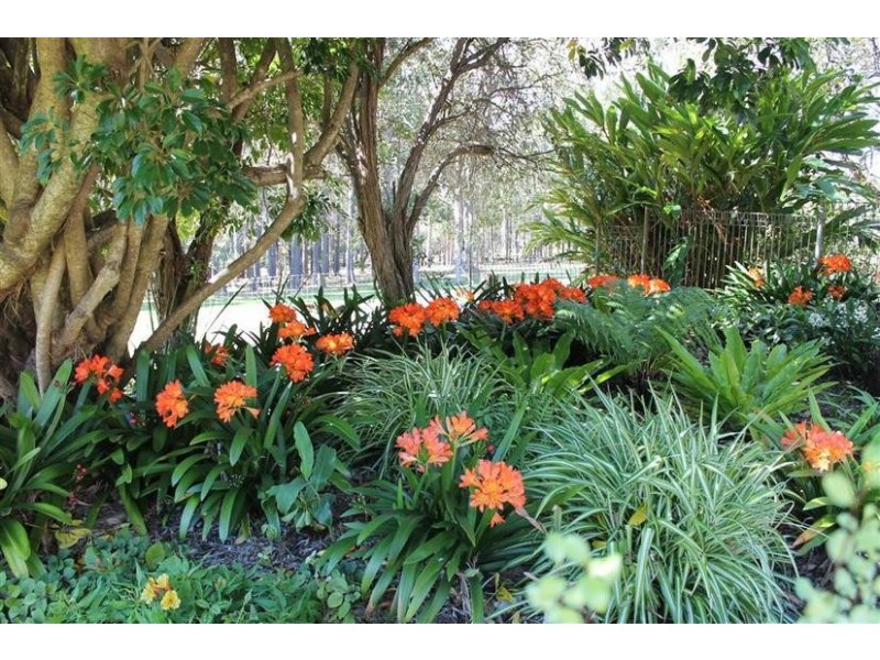 1299. Illaroo Road, Tapitallee NSW 2540