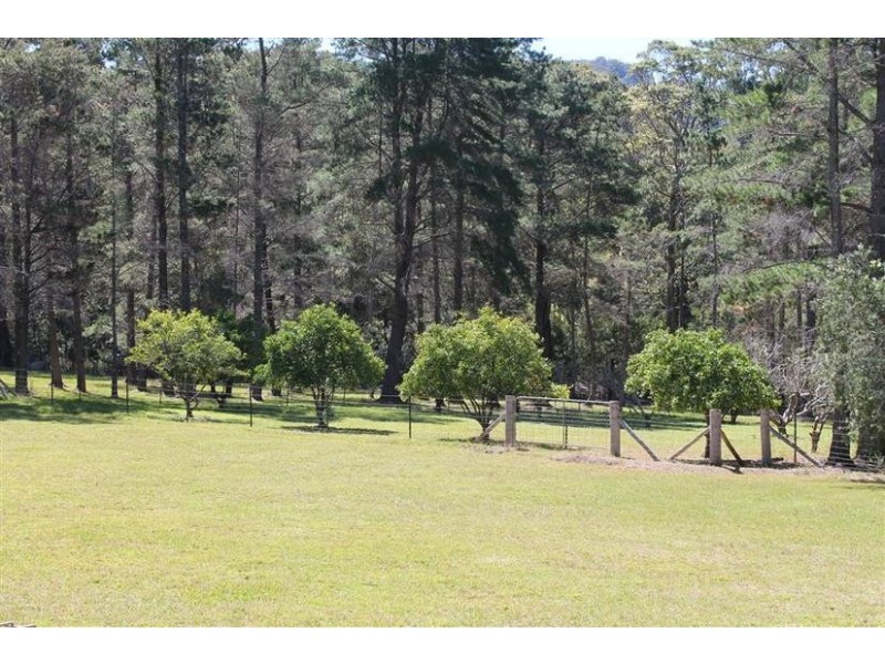 1299. Illaroo Road, Tapitallee NSW 2540
