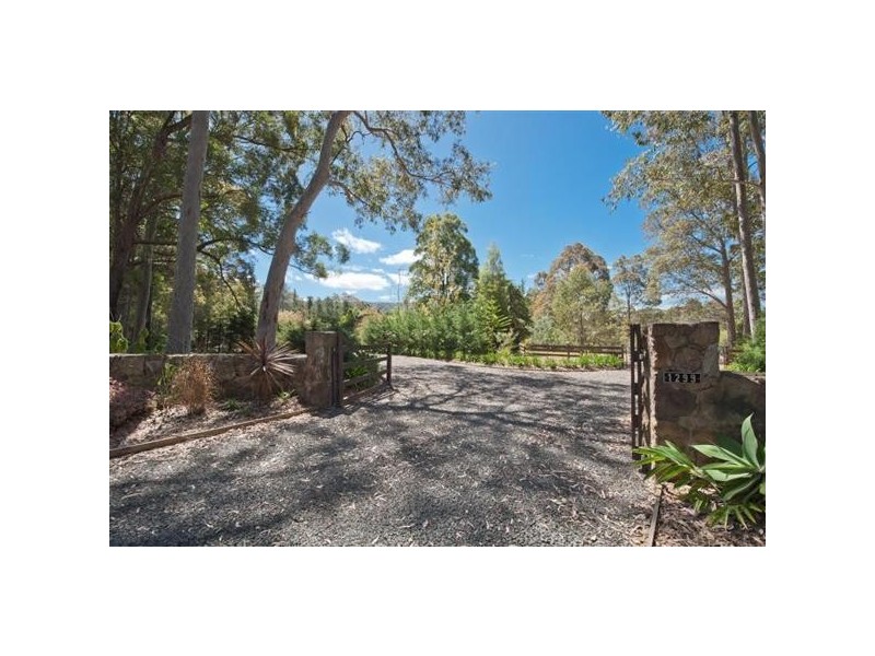 1299. Illaroo Road, Tapitallee NSW 2540