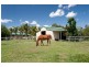 13 Dalton Place, Wandandian NSW 2540