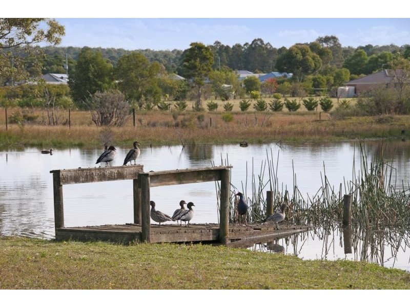 119 Cabbage Tree Lane, Nowra Hill NSW 2540