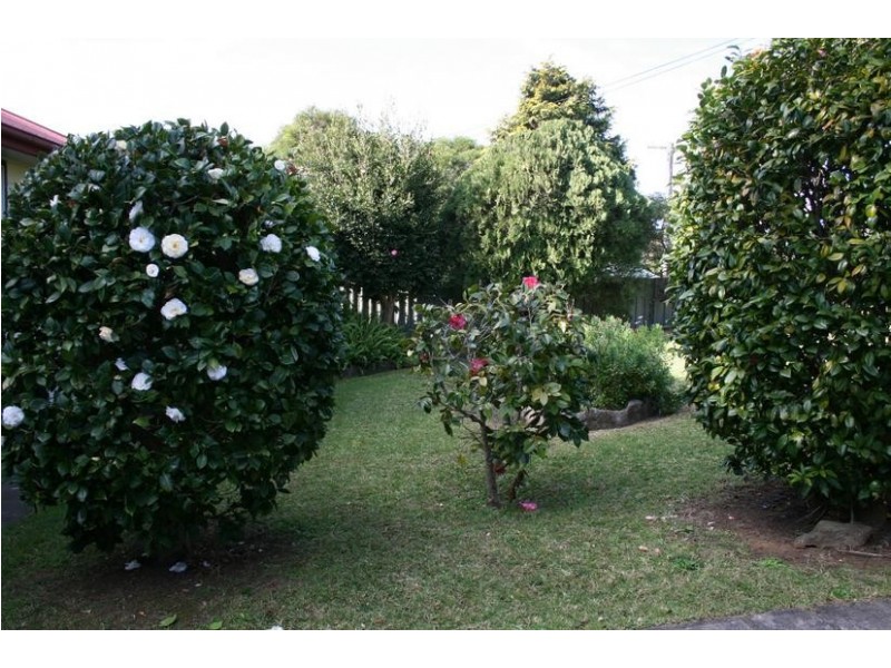 21 Young Avenue, Nowra NSW 2541