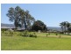 1/7 Harbour Boulevard, Bomaderry NSW 2541
