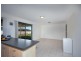Lacebark Grove, Worrigee NSW 2540