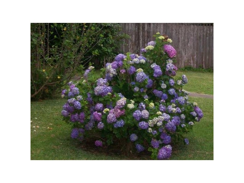 2/164 Kinghorne Street, Nowra NSW 2541