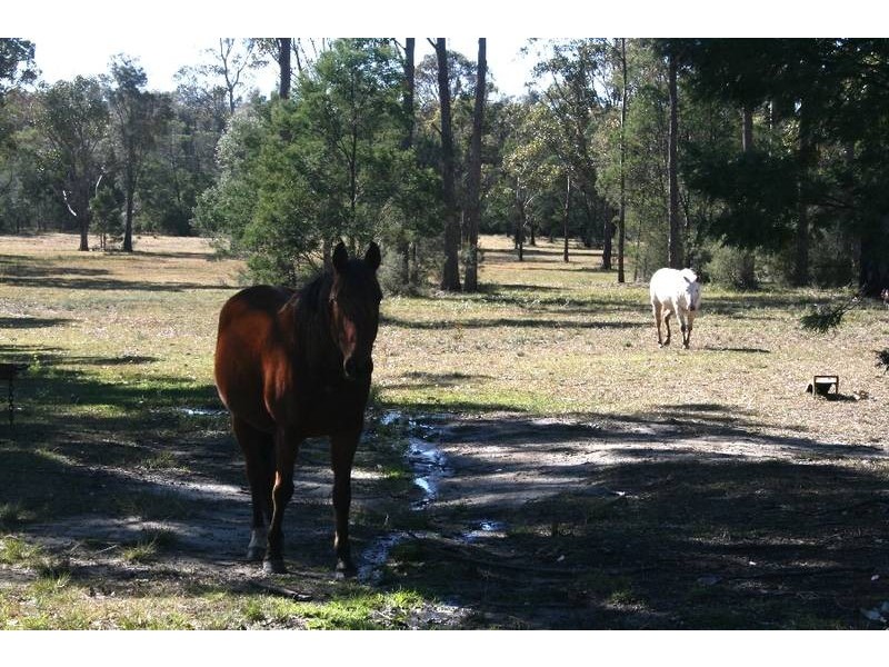 335 Woollamia Road, Woollamia NSW 2540