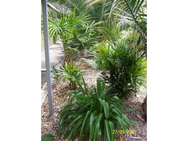 1/300 Greenwell Point Road, Worrigee NSW 2540