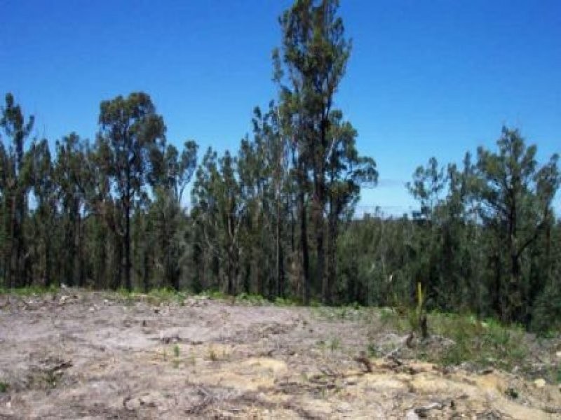 2 Gorindah Road, Falls Creek NSW 2540