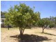 Mudgee NSW 2850