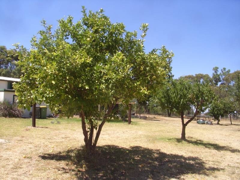 Mudgee NSW 2850