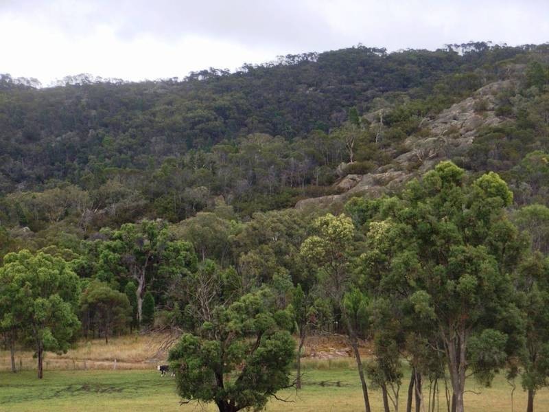 Mudgee NSW 2850