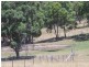 Mudgee NSW 2850