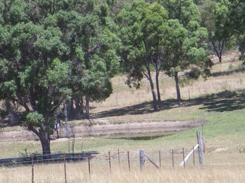 Mudgee NSW 2850