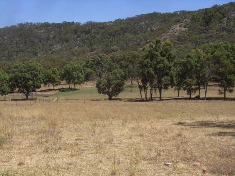 Mudgee NSW 2850