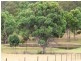 Mudgee NSW 2850