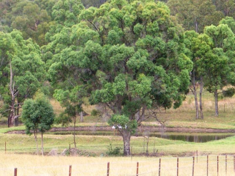 Mudgee NSW 2850