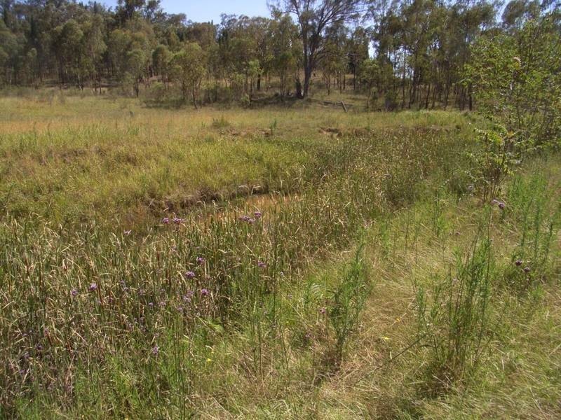Mudgee NSW 2850