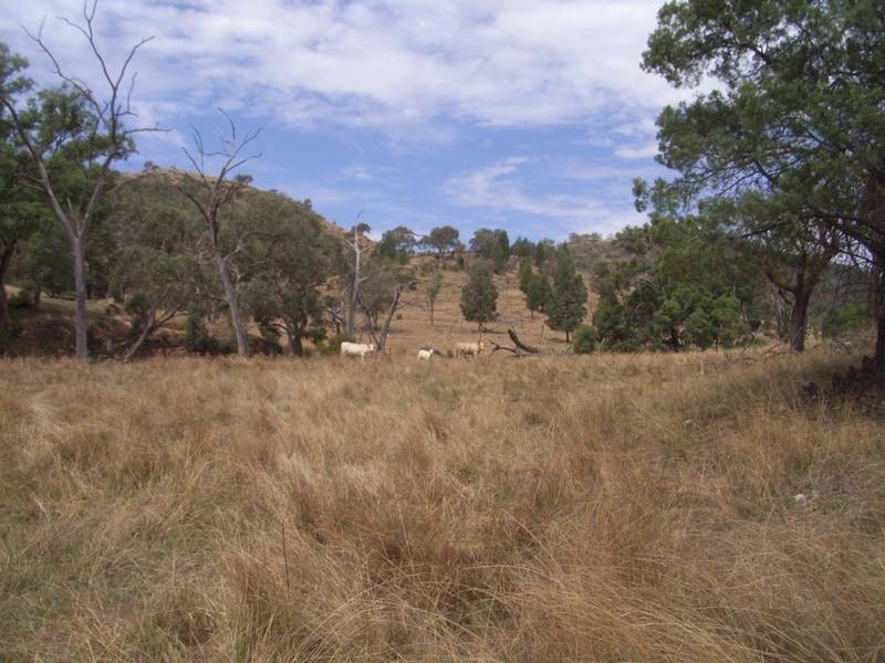 Mudgee NSW 2850