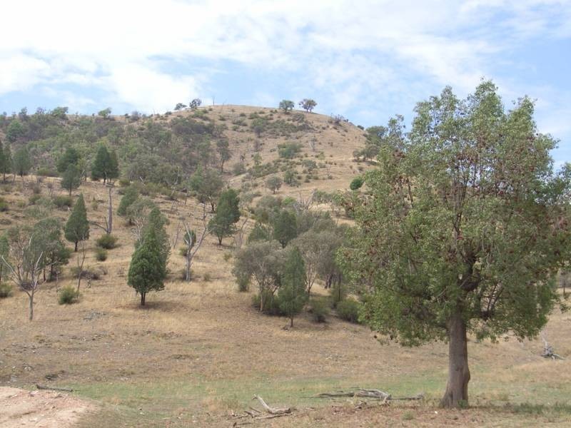Mudgee NSW 2850